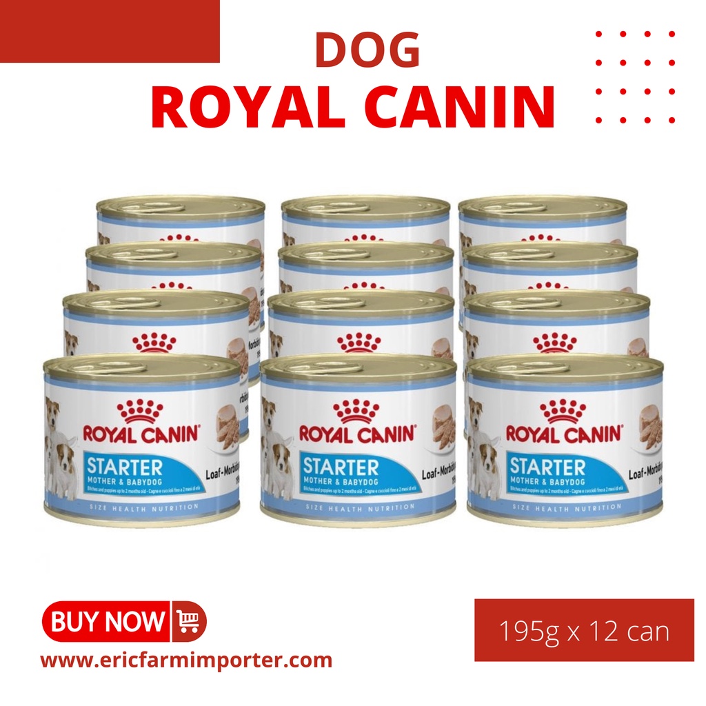 Royal canin starter mother & baby dog 🐶 free ship 🐶 pate chó mẹ & chó con
