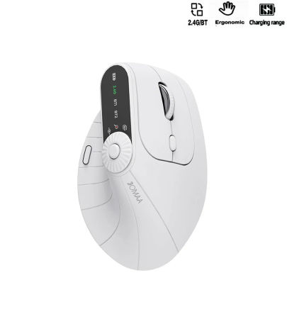 Ergonomic Vertical Dual Mode Wireless Mouse for Desktop