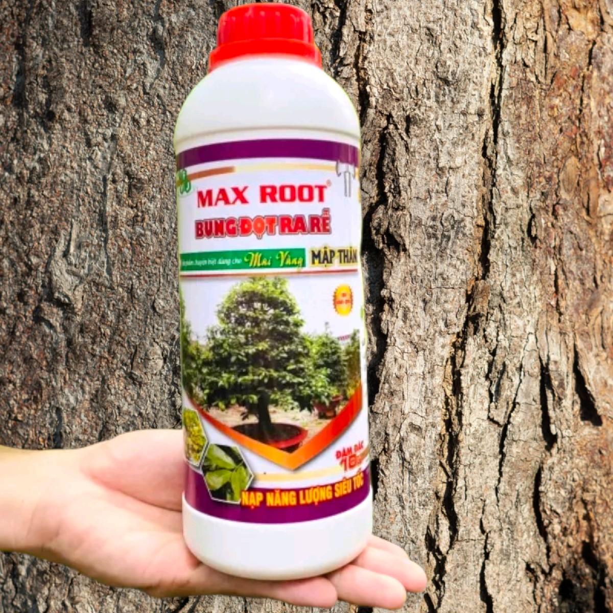 Phân bón MAX ROOT - BUNG ĐỌT RA RỄ CỰC MẠNH CHUYÊN MAI VÀNG. CHAI 1L GIÚP ĐÂM TƯỢC KÍCH RỄ PHÔI CỰC 