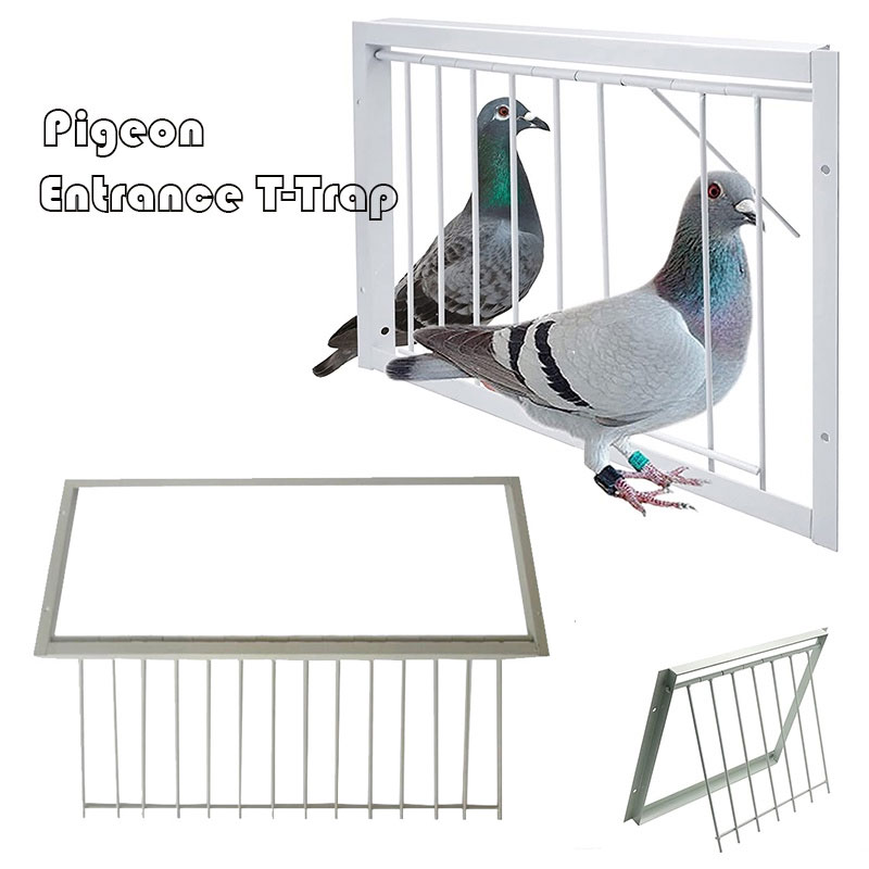 Fast delivery！bird trap 50*60/70*80 Easy and convenient to use