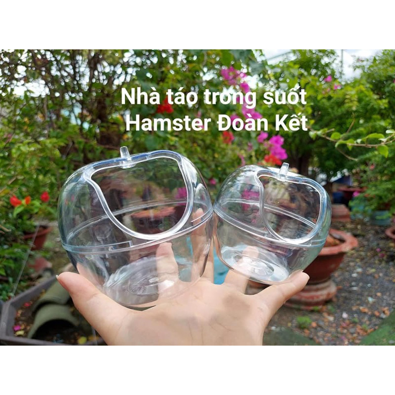 Nhà mika quả táo - nhà tắm, nhà ngủ hamster