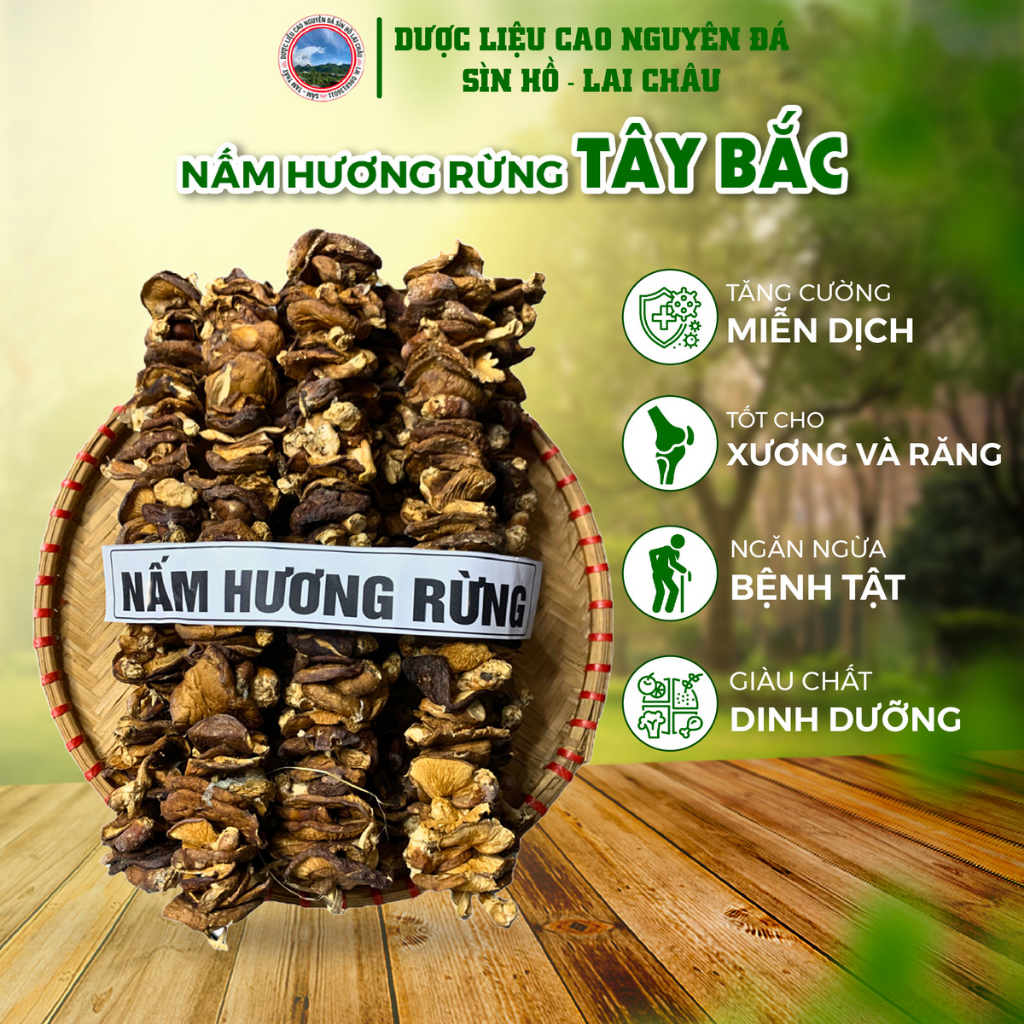 Nấm hương khô, nấm hương rừng Tây Bắc, xiên nấm hương rừng có bán dạng xiên, dạng gói