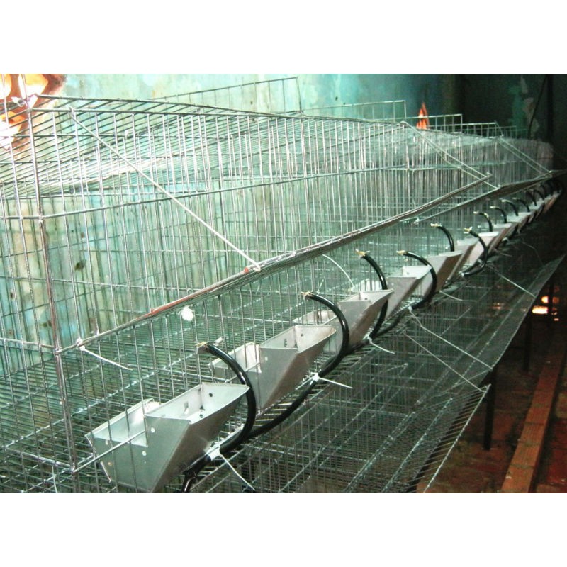 Máng ăn cho thỏ bộ 5 máng
