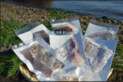 Japan Seafood - Sea bream 1 pack of fillets(block)