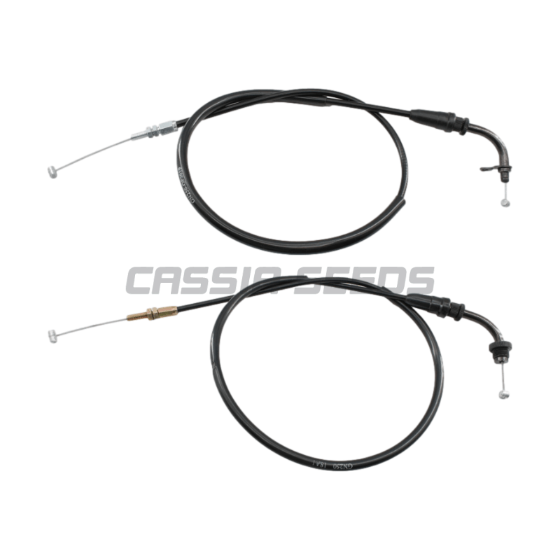 Xe Máy ga cáp cho Suzuki gn250