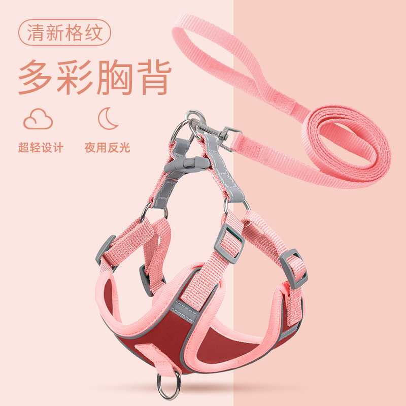 Áo ba lỗ phong cách Chó Nhỏ, Teddy bo nịt ngực, mèo, con chó con, dây xích, Vòng cổ cho chó collars