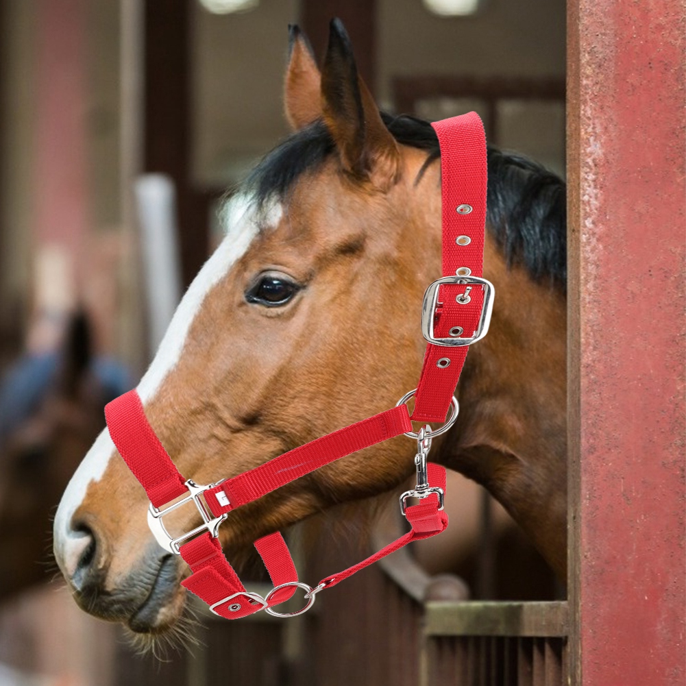 Evonecy Phụ kiện đi xe ngựa halters ngựa bay điều khiển cho hàng đầu lái xe