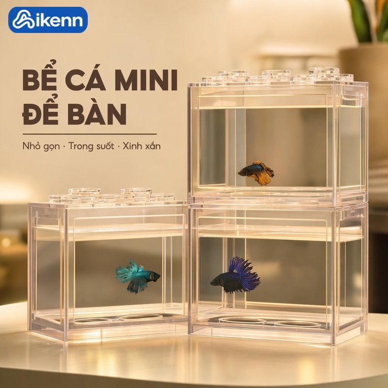 Aikenn Bể cá mini nhựa bể cá để bàn trong suốt trang trí phòng khách hộp nuôi cá cảnh dễ vệ sinh nhiều màu kích thước 12 8 10