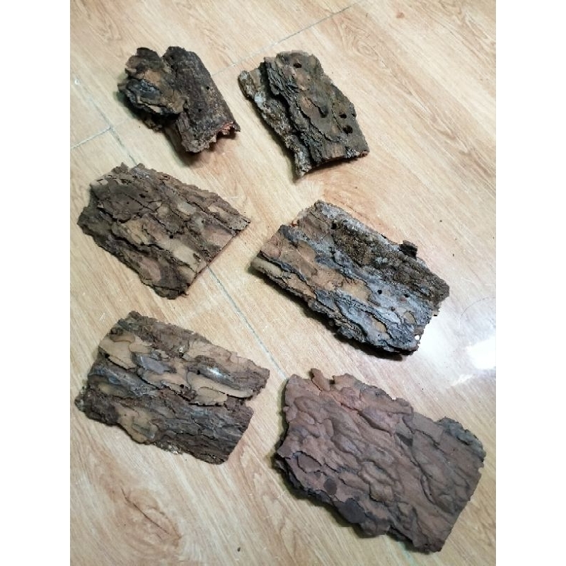 Cork bark, vỏ thông dành cho isopod, rết, bọ cạp - hoài nam pet