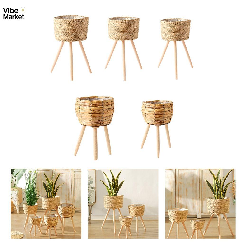 กระถางดอกไม้สไตล์โมเดิร์น ชิ้นเดียวสำหรับตกแต่งบ้าน ราคา 1,259 บาท*ส่งฟรี