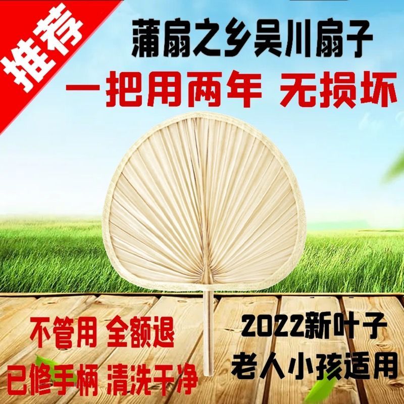 Quạt Pu Ông Già Quạt Lớn Quạt Gia Dụng Jigong Quạt Hướng Dương Quạt Pucao Quạt Thủ Công Quạt Múa Quạt Chuối Bán Buôn