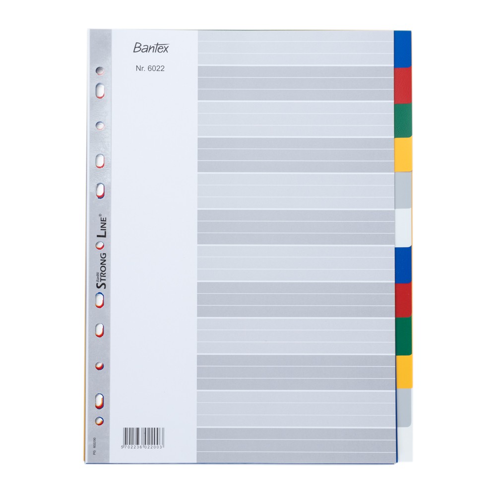 BANTEX 6022 A4 12 WARNA DIVIDER PEMBATAS BINDER
