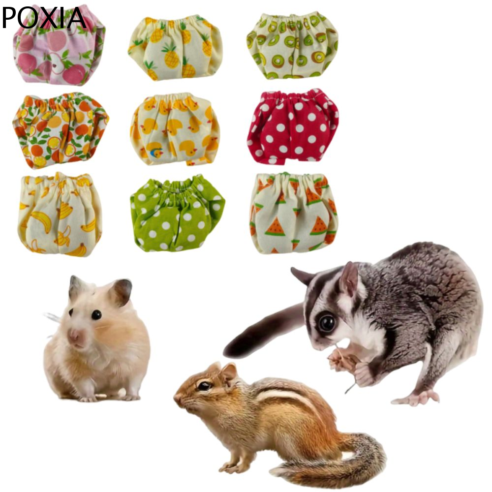 POXIA Thấm hút Tã cho sóc Có thể điều chỉnh Thoáng khí Đồ lót sóc Đồ dùng cho thú cưng Có thể tái sử dụng Quần tập luyện cho thú cưng Dành cho chuột lang, sóc