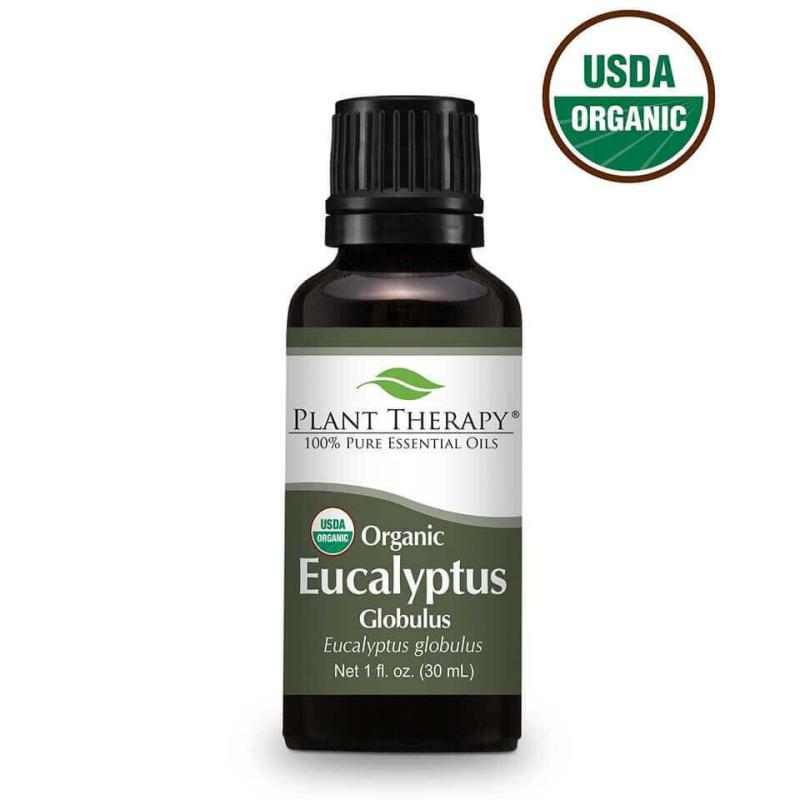 Buy Plant Therapy Eucalyptus Globulus Essential Oil - 30ml - Ecocert Certified Organic Singapore