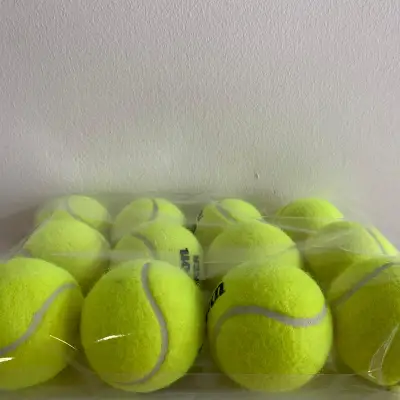 Wilson Trainer Tennis Balls [12 Balls]