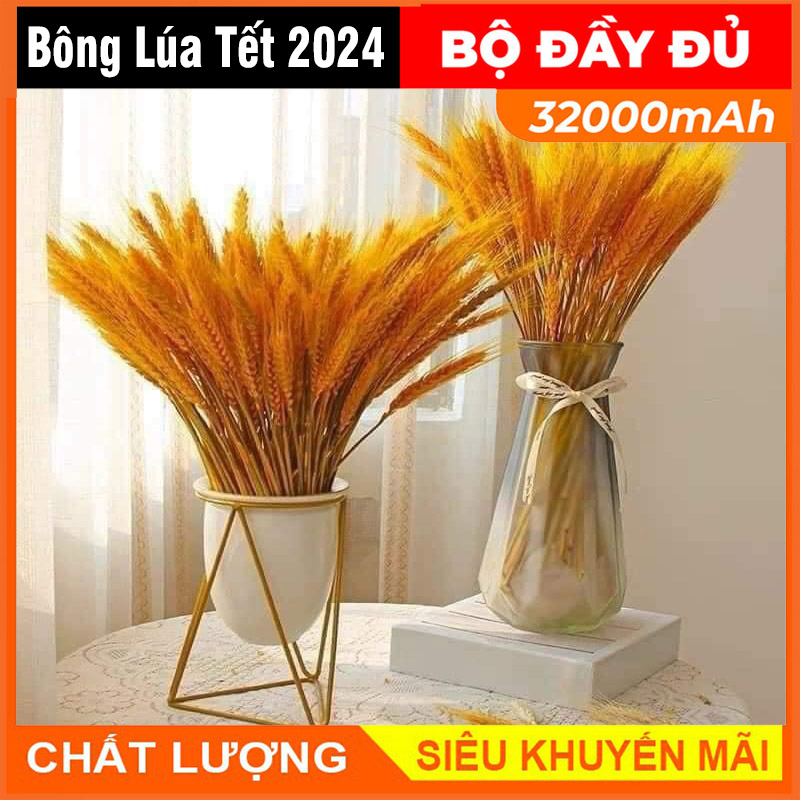 Bông Lúa cành dài, bông lúa mạch màu vàng - Trang trí nhà cửa ngày tết, trang trí bình hoa chưng lễ, tết
