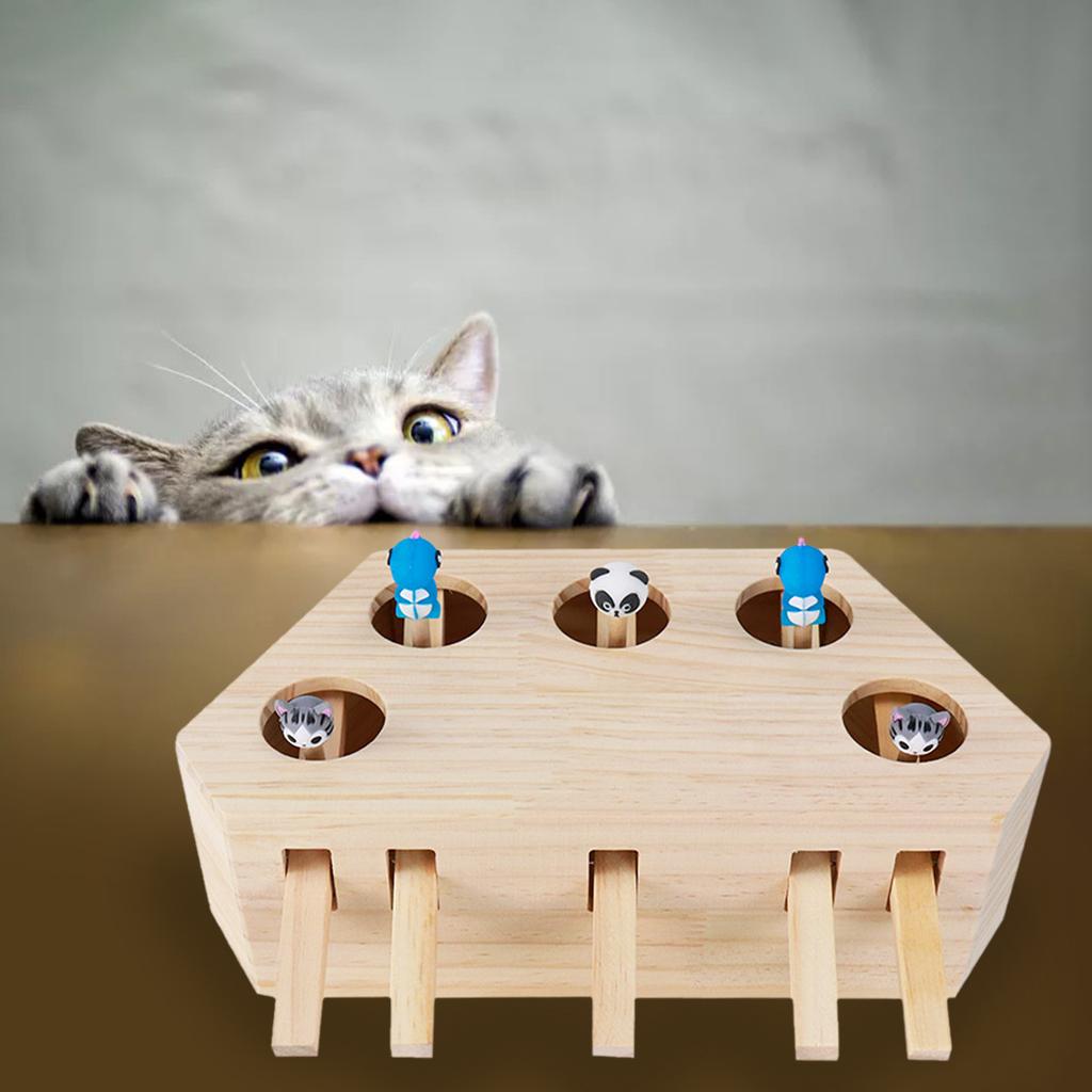 Cat Enrichment Toys for Indoor Cats, Whack a mole cat Toy with cat  Scratching pad, Cat Cardboard Box to Make Lots of Fun, cat Interactive Toy  to Relieve Boredom and Train IQ.