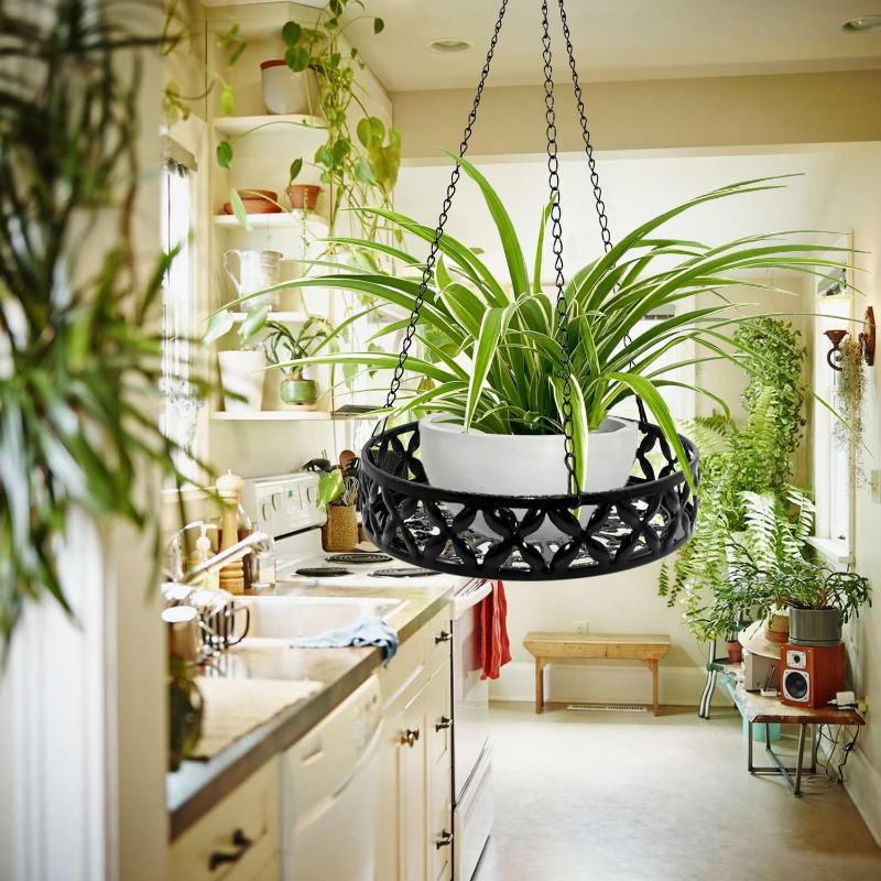 Spring Home กระถางดอกไม้แขวน กระถางแขวน ประหยัดพื้นที่ ดอกไม้ รับน้ำหนักได้ดี สําหรับตกแต่งบ้าน ติดตั้งง่าย โลหะ ราคา 191 บาท*ส่งฟรี