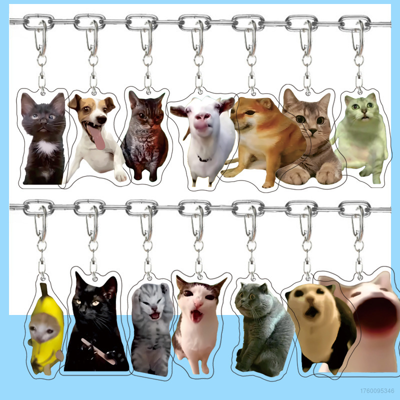 6-Pack Cute Cat Meme Acrylic Keychains – Funny Cartoon Double-Sided Charms For Bags, Backpacks, Keys, Car & Motorcycle Accessories