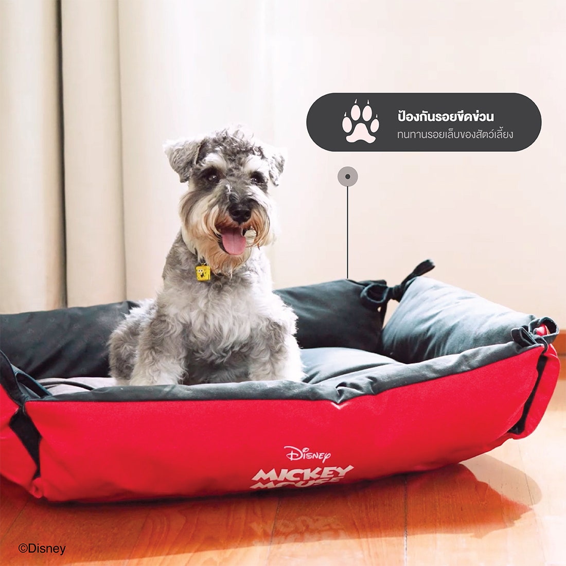 Disney Home เบาะสัตว์เลี้ยง DISNEY รุ่น MICKEY PET CUSHION-L สีแดง-ดำ (83x62x16 ซม.) ราคา 1,990 บาท*ส่งฟรี