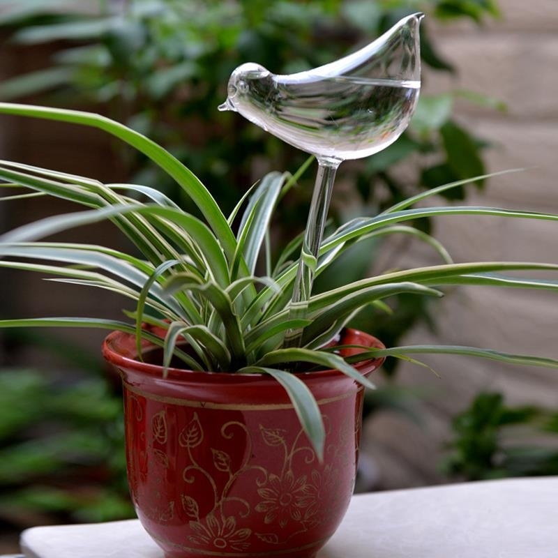 Bird Glass Watering Flower Planter Vase Terrarium Container Home Garden Decor - intl