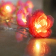 Cenita 2m 20 Lamp Pink Silk Flower String Lights Wedding Decoration Cenita 2m 20 Lamp Pink Silk Flower String Lights Wedding Decoration Led Battery Powder