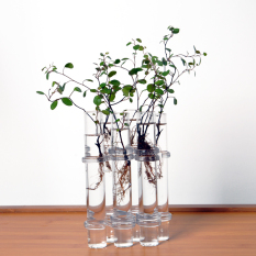 Clear 6 Tubes Shape Flower Glass Vase Fish Tank ation