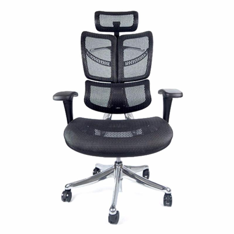 FLY Luxury Ergonomic Office Chair (Black) Singapore