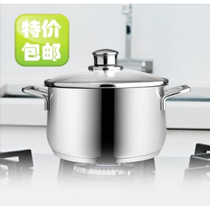 Germany WMF Diadem plus Stainless Steel Stew Pot Singapore
