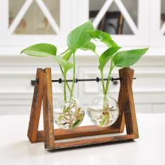 LumiParty Creative Plant Glass Hydroponic Container Terrarium Desk Decor with Wood Stand Flower Pot Home Decoration Size:2 glass balls
