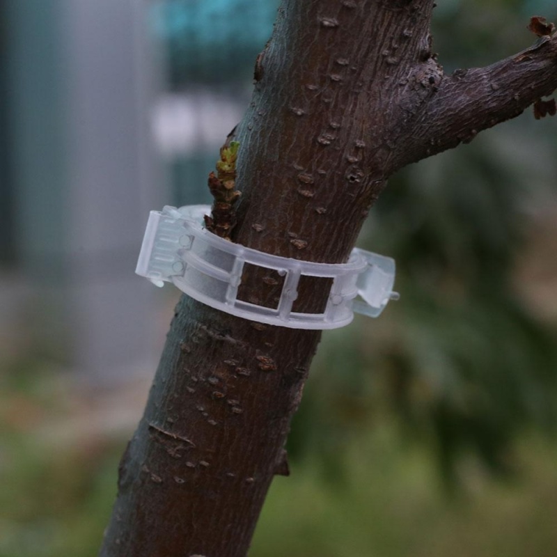 Plant Clips Plastic Secure Tool Garden Climbing Plastic Outdoor Planting Clip - intl
