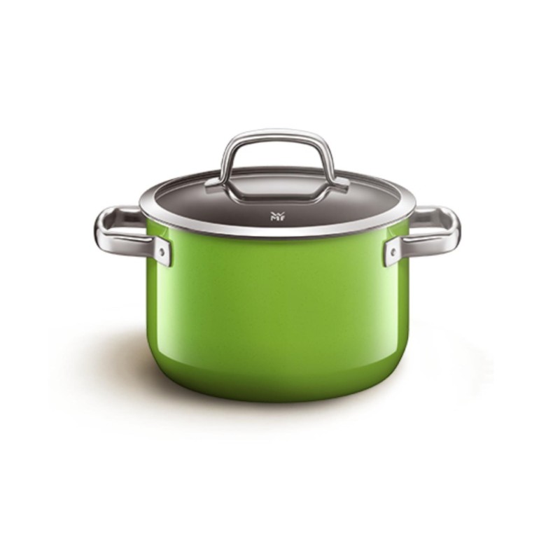 WMF Stock Pot Topfe Wmf Natur 24Cm Lemon Green Singapore