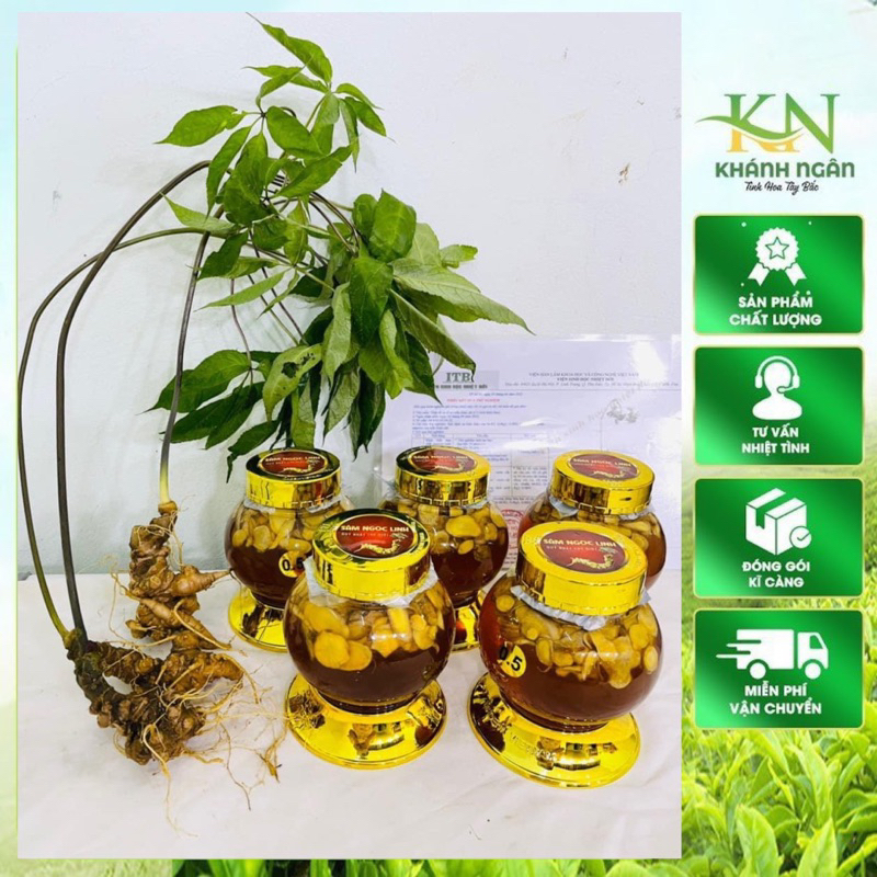Sâm Ngọc Linh Lai Châu tươi thái lát ngâm mật ong rừng tự nhiên nguyên chất 500ml