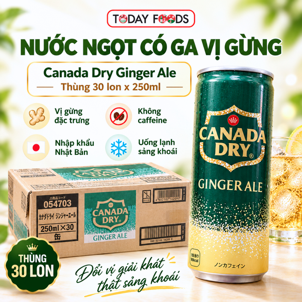 Nước Ngọt Có Ga Vị Gừng Canada Dry Ginger Ale 250ml Nhật Bản - Thùng 30 Lon, Uống Lạnh Đã Khát, Không Caffeine, Pha Chế