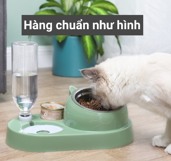 Bát ăn cho chó mèo có bát inox, khay bình nước tự động