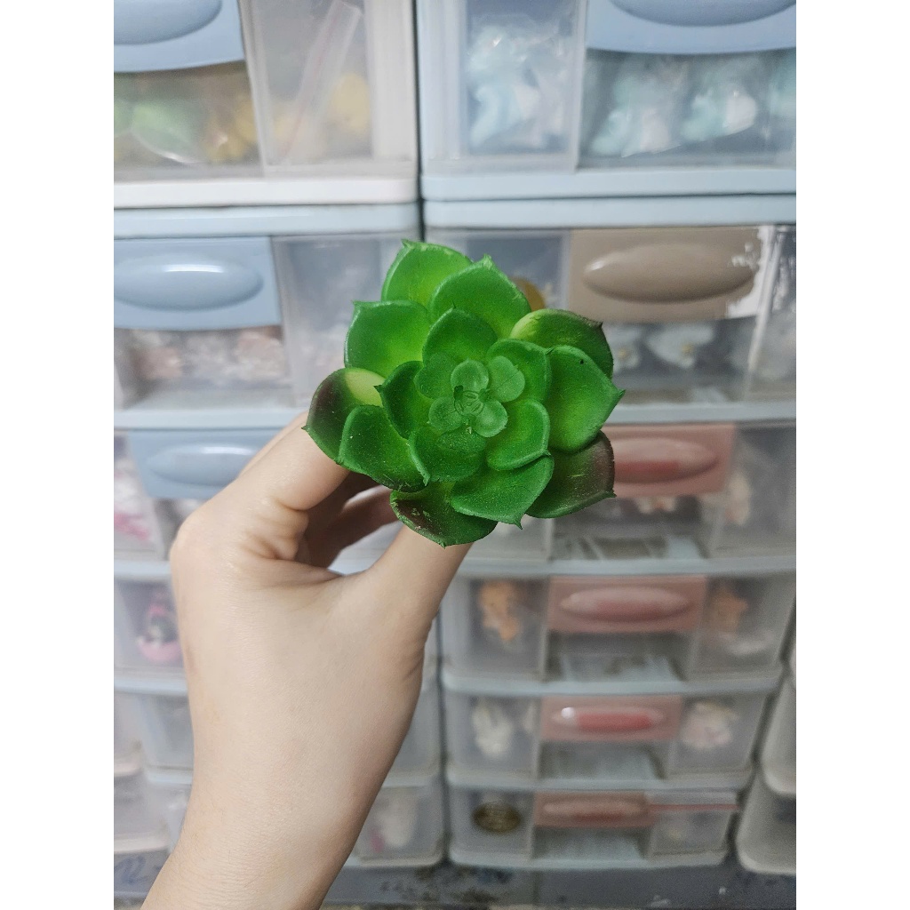 Cây hoa nhựa: mẫu sen đá xanh lá to