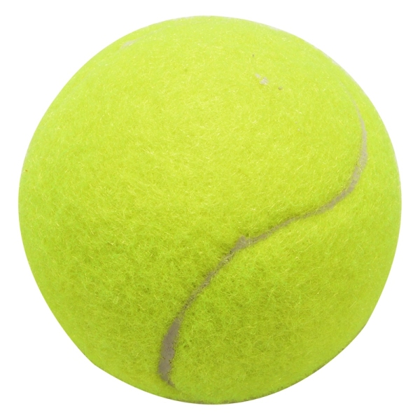 Tennis Balls Sports Tournament Outdoor Cricket Beach Dog Toy Game Great Bounce