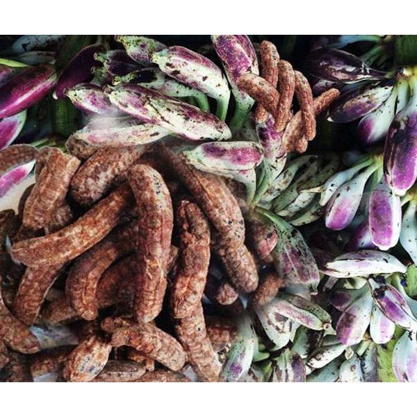 Chuối hột rừng khô nguyên quả - đặc sản núi rừng tây bắc