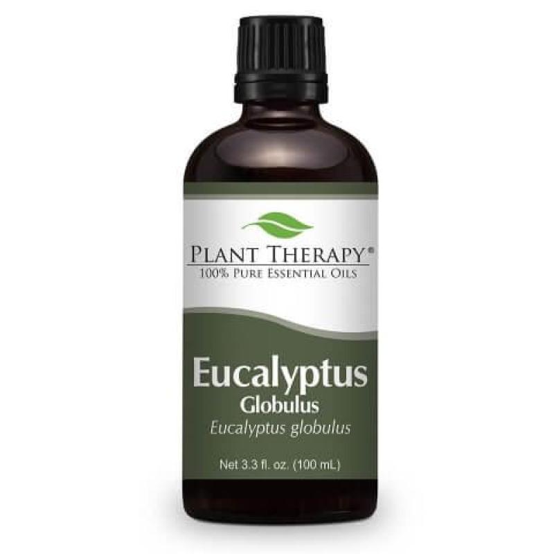 Buy Plant Therapy Eucalyptus Essential Oil - 100ml Singapore