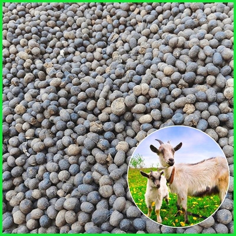 Phân dê đã qua xử lí 1kg - bón phân trồng lan