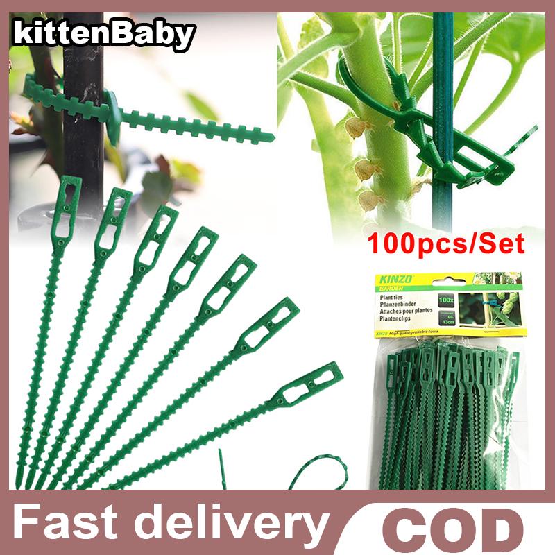 kittenBaby 50 100pcs โรงงานพลาสติกที่ใช้ซ้ำได้คลิป Clamps Plants Hanging VINE Garden ราคา 34 บาท*ส่งฟรี