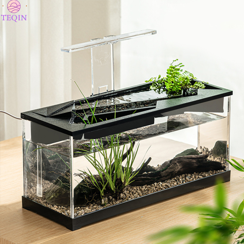 TEQIN Small Fish Tank, Aquarium Tank With Build-in Light, Water Pump, Clear Cover, Ecological Cycle System, High Transparency Acrylic Rectangular Fish Tank For Living Room ราคา 982 บาท*ส่งฟรี