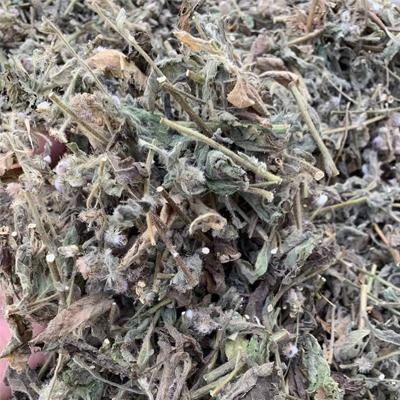 Trà Cây cải trời (Cây cải trời khô) - Gói 1kg Nước Trà Tea