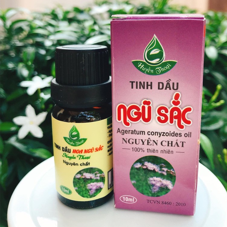Tinh dầu ngũ sắc huyền thoại/ hoa cức lợn nguyên chất famimark.com