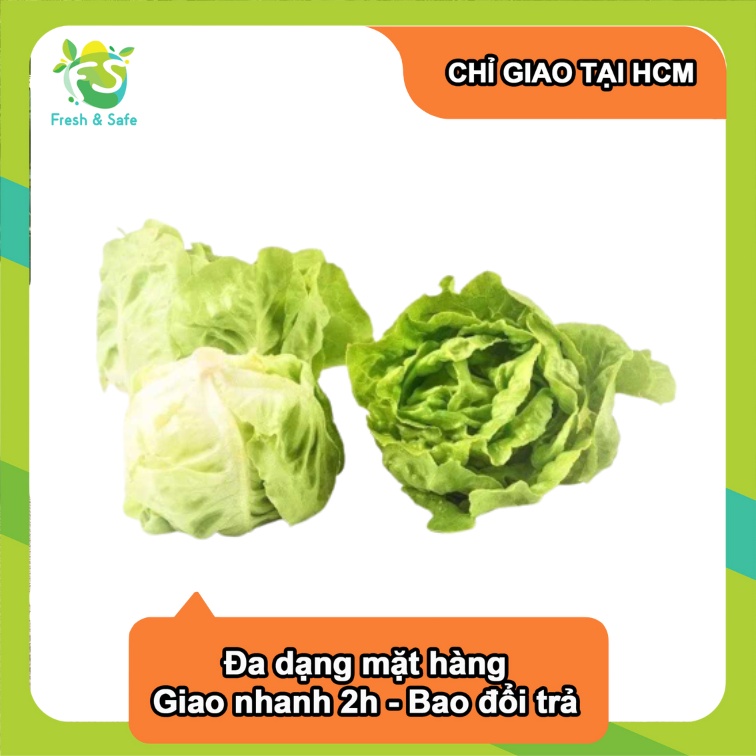 [Chỉ Giao HCM] Xà lách búp mỡ - 1kg (sỉ)