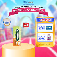 Combo 6 hộp viên ngậm không đường Doublemint hương cam 35 viên