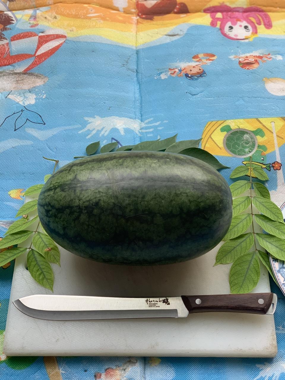 Dao lưỡi dài bổ dưa hấu Nhật Akatenki sắc khỏe tiện lợi