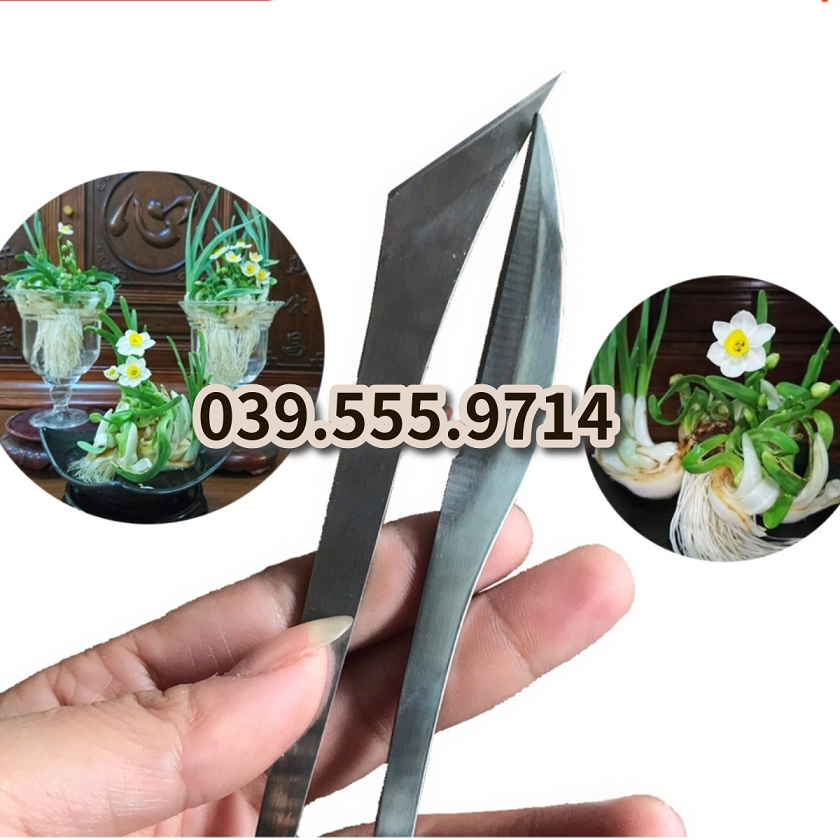 BỘ 2 DAO CHUYÊN DÙNG ĐỂ CẮT TỈA,GỌT CỦ HOA THỦY TIÊN-DỄ DÙNG ĐỂ CẮT TỈA