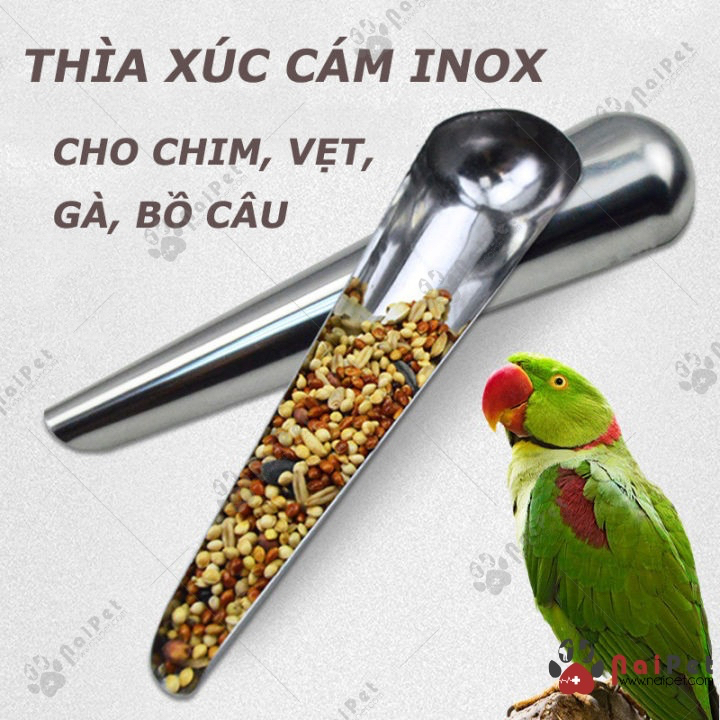 Thìa xúc cám chim gà bồ câu tiện lợi chất liệu inox - phụ kiện lồng chim Duy Khang