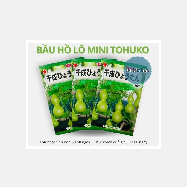 Hạt giống bầu hồ lô tí hon tohuko. Xuất xứ: Nhật Bản. Số lượng hạt: 5 hạt